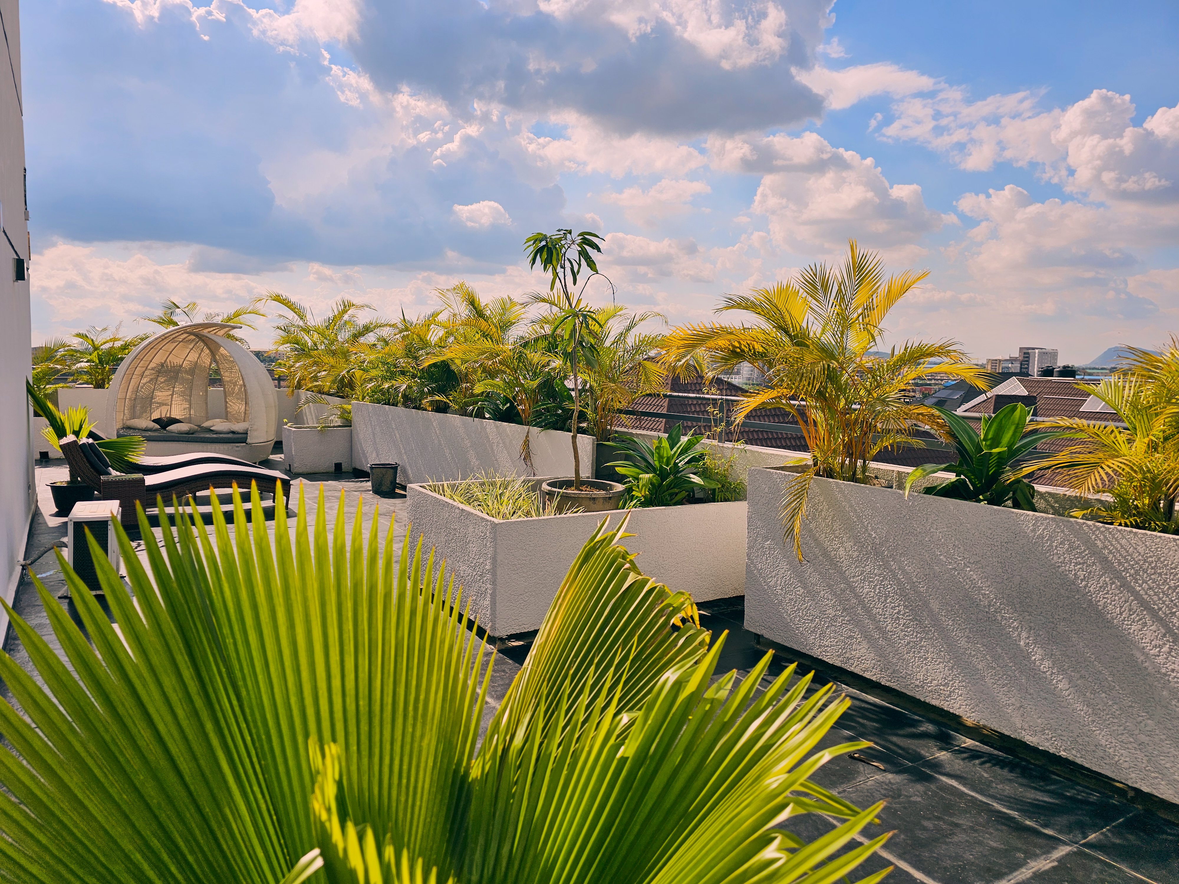 Balcony View